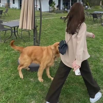 当潮水袭来