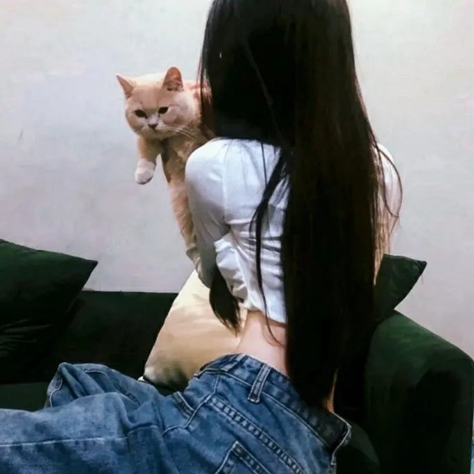 三个信长